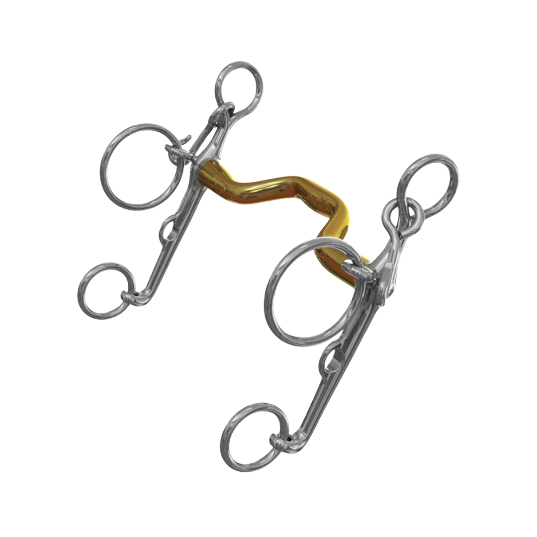 Warmblood Show Pelham