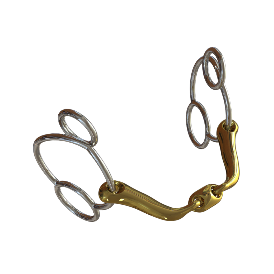 Verbindend Universal – Neue Schule USA