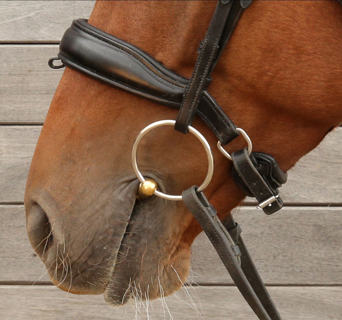 Turtle TongueKIND Loose Ring