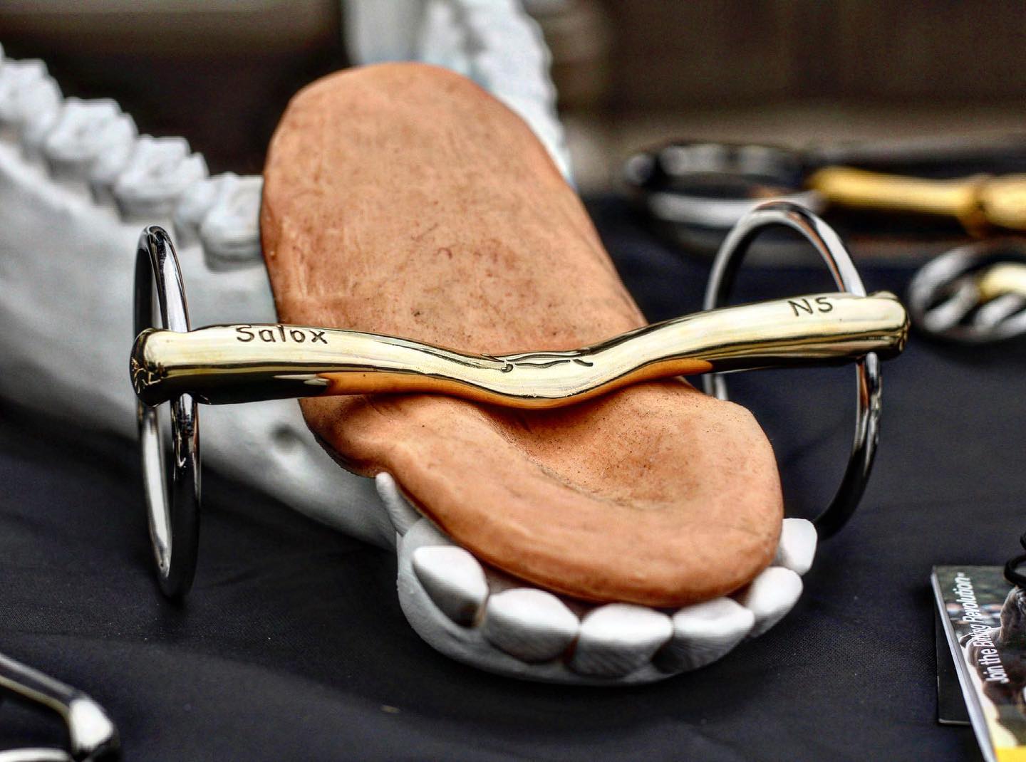 Turtle BarSmart