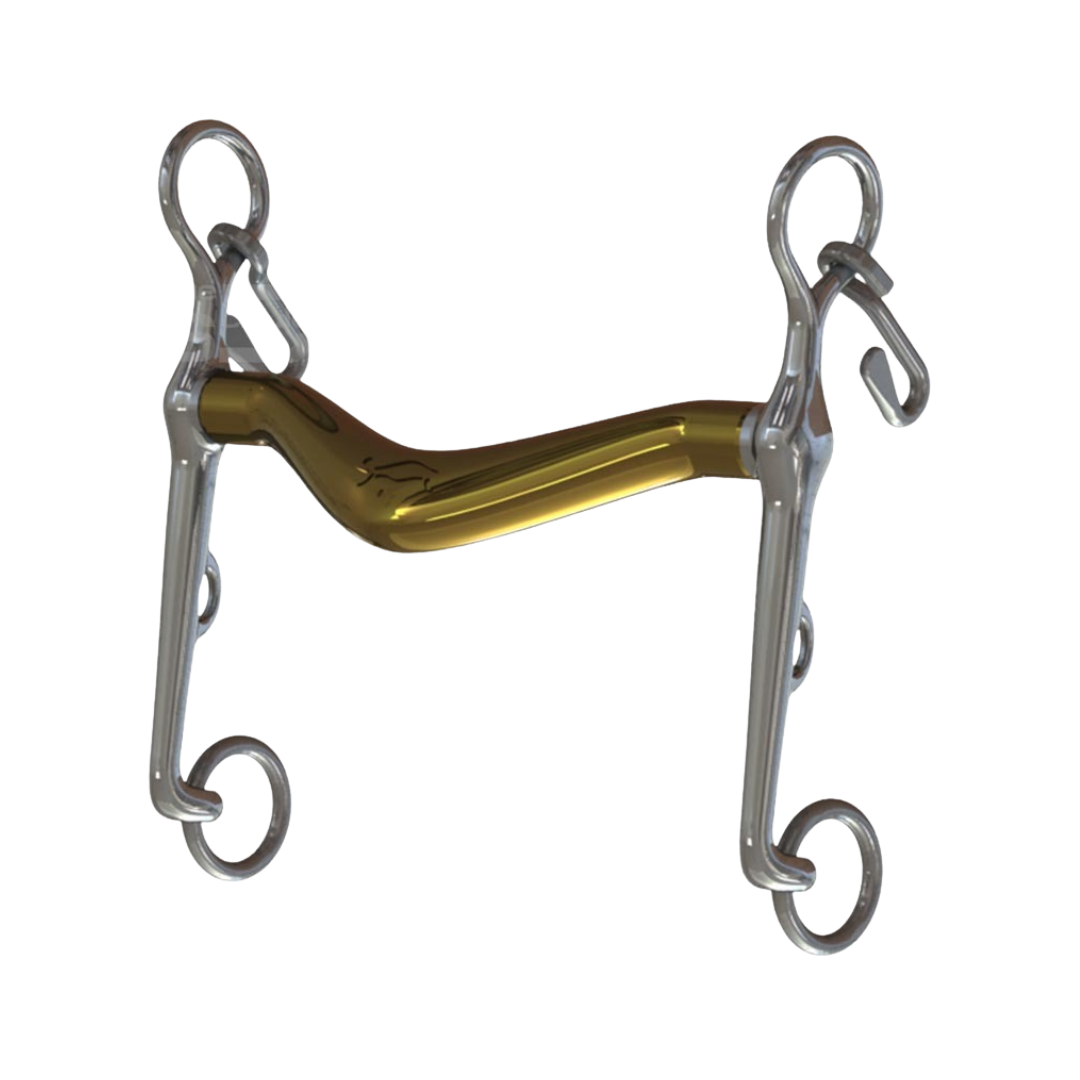 Turtle Tilt Weymouth