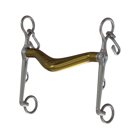 Turtle Tilt Weymouth