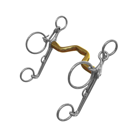 Warmblood Show Pelham