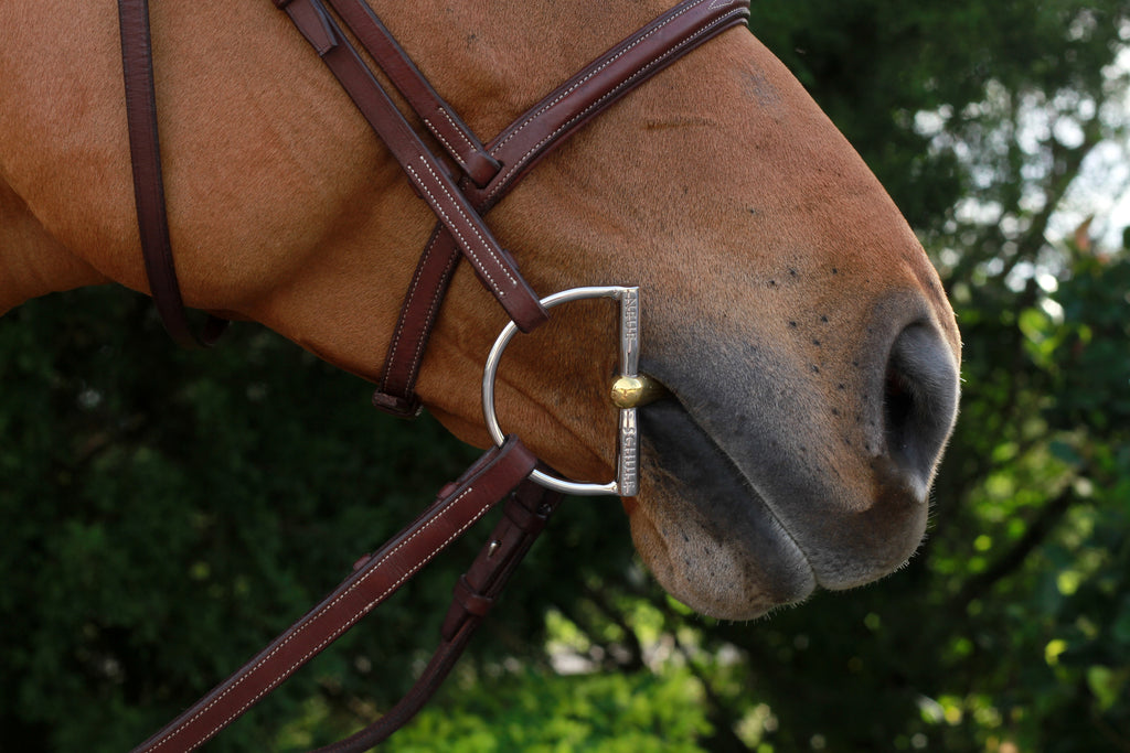 Tranz-Angled Lozenge Hunter D-ring