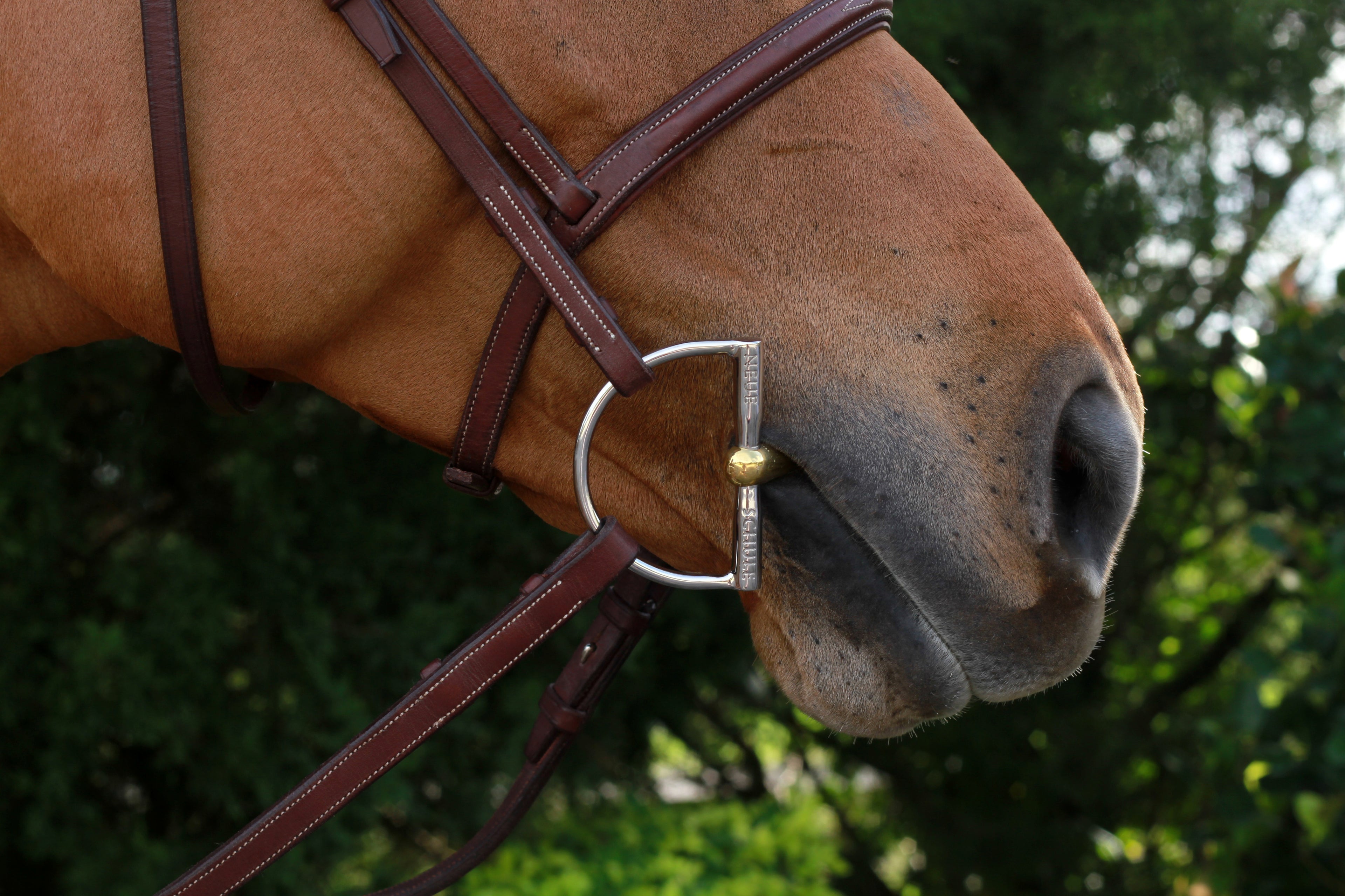 Tranz-Angled Lozenge Hunter D-ring