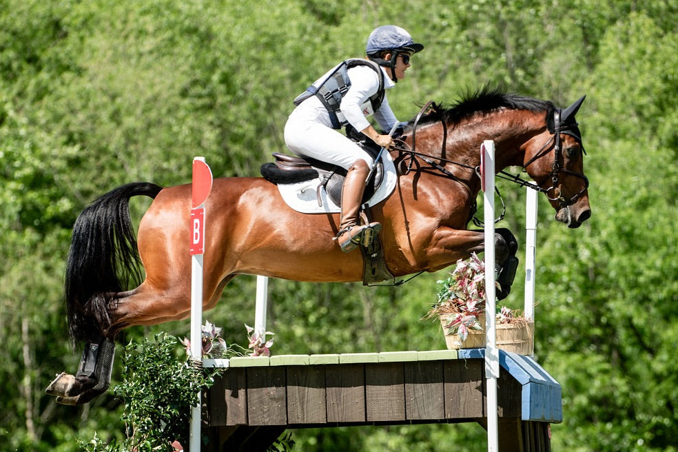 Waterford Loose Ring Snaffle