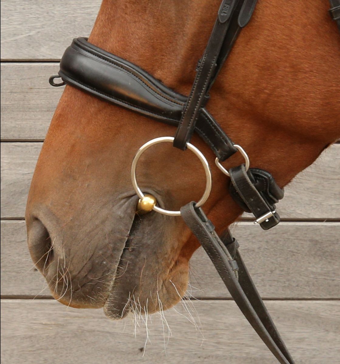 Turtle Tactio Flex Loose Ring Snaffle