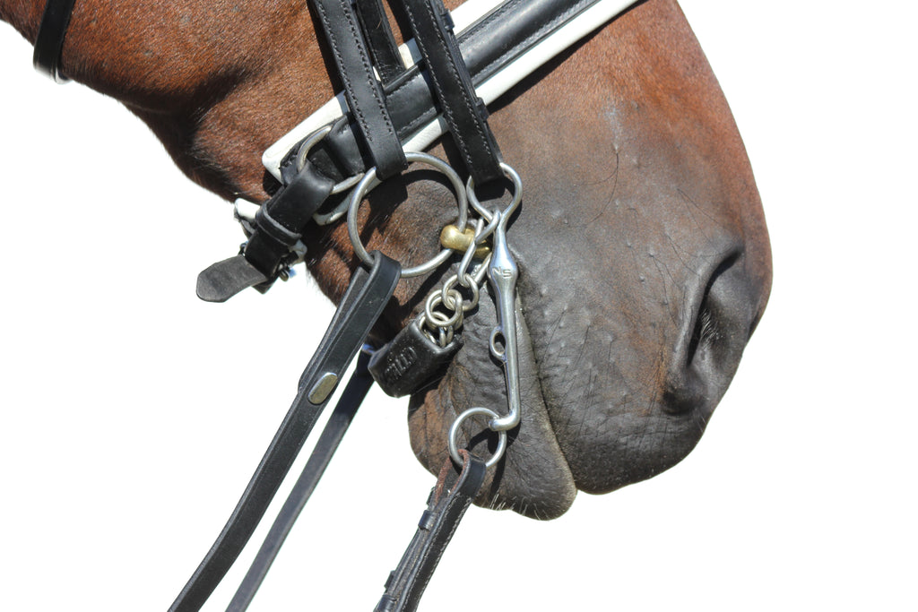 Warmblood Weymouth