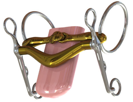 Turtle Tilt Weymouth