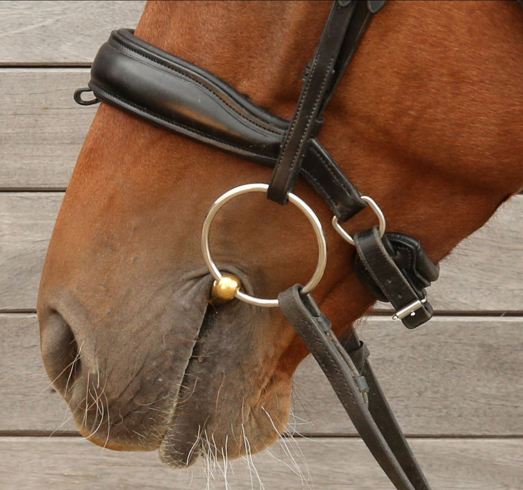 Turtle TongueKIND Loose Ring